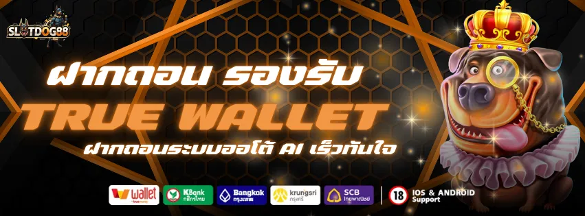 ฝากถอนรองรับ true wallet ระบบออโต้ เร็วทันใจ
